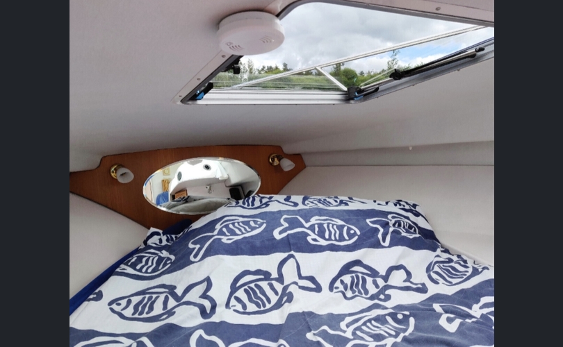 Marino 71 Hc-kuva-10